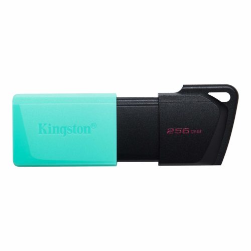 Kingston Technology DataTraveler Exodia M USB flash drive