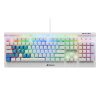 Sharkoon SKILLER SGK3 keyboard
