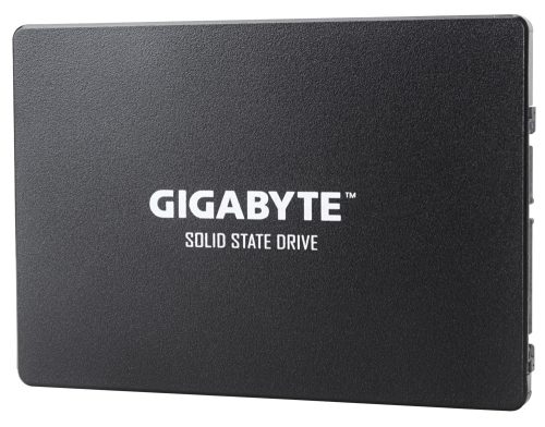 Gigabyte GP-GSTFS31120GNTD internal solid state drive