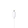 Apple EarPods