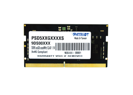 Patriot Memory Signature PSD516G480081S memory module