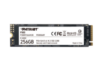 Patriot Memory P300P256GM28 internal solid state drive