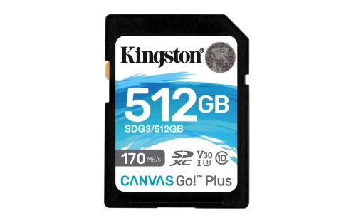 Kingston Technology Canvas Go! Plus