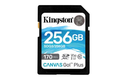 Kingston Technology Canvas Go! Plus
