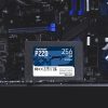 Patriot Memory P220 256GB