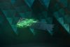Razer Huntsman V2 Tenkeyless keyboard