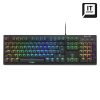 Sharkoon SKILLER SGK30 keyboard