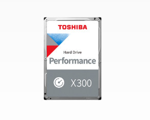 Toshiba X300