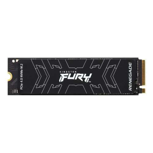 Kingston Technology FURY Renegade