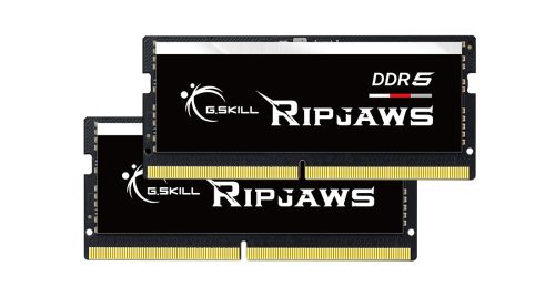 G.Skill Ripjaws F5-4800S3434A16GX2-RS memory module