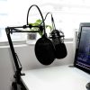 Media-Tech MT396 microphone