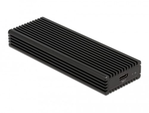 DeLOCK 42004 storage drive enclosure
