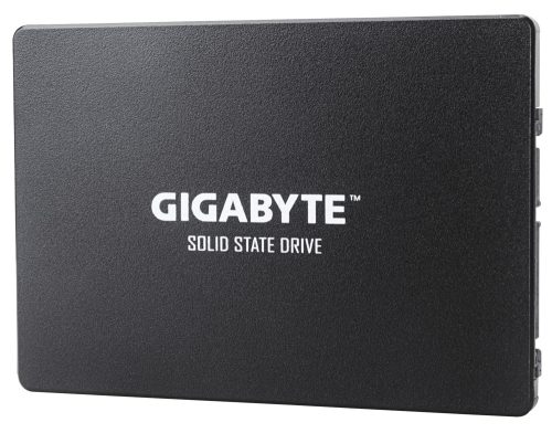 Gigabyte GP-GSTFS31240GNTD internal solid state drive