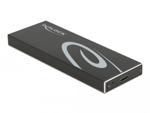DeLOCK 42003 storage drive enclosure