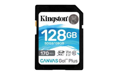Kingston Technology Canvas Go! Plus