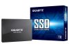 Gigabyte GP-GSTFS31100TNTD internal solid state drive