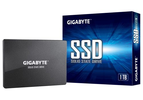 Gigabyte GP-GSTFS31100TNTD internal solid state drive