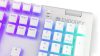 ENDORFY Omnis keyboard