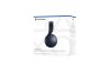 Sony Pulse 3D