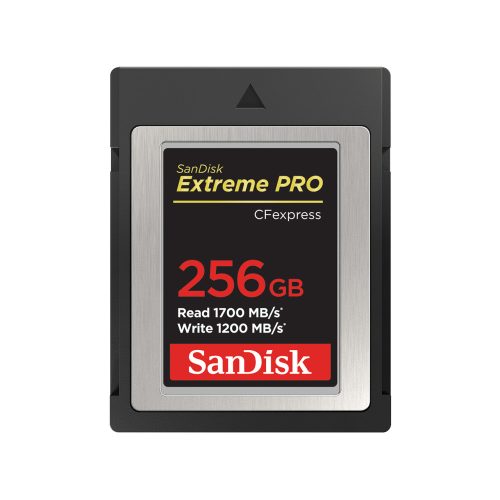 SanDisk SDCFE-256G-GN4NN memory card