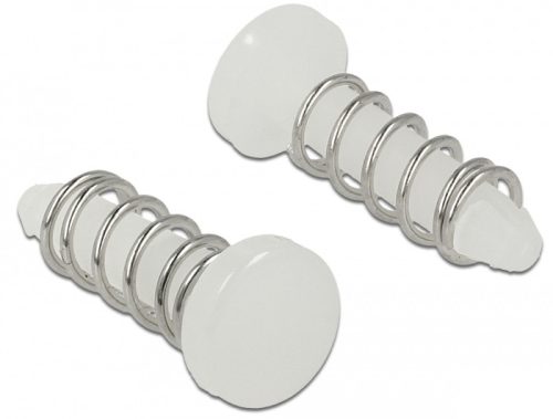 DeLOCK rivet