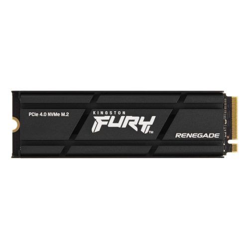 Kingston Technology FURY Renegade
