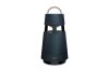 LG DRP4G.DDEULLK loudspeaker