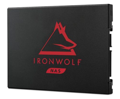 Seagate IronWolf 125