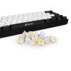 Sharkoon Linear Gateron CAP MILKY YELLOW