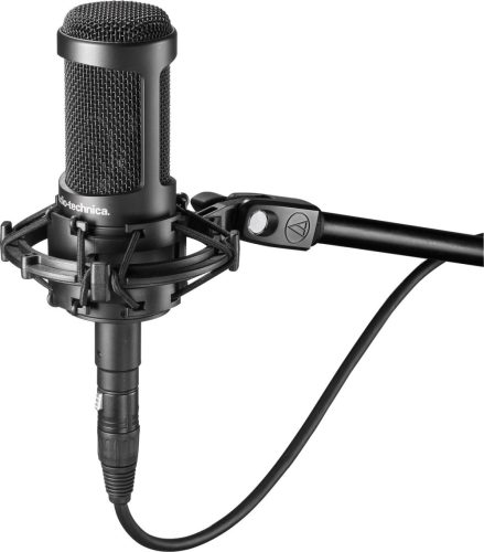 Audio-Technica AT2050 microphone