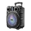 Media-Tech MT3169 Public Address (PA) system