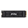 Kingston Technology FURY Renegade