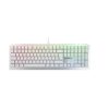 CHERRY MV3.0 RGB keyboard
