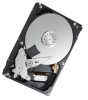 Toshiba P300 1TB