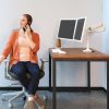 Ergotron LX Series 45-492-216 monitor mount / stand